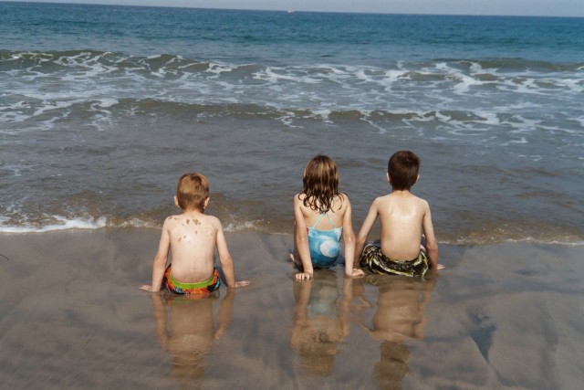 blog rat beach