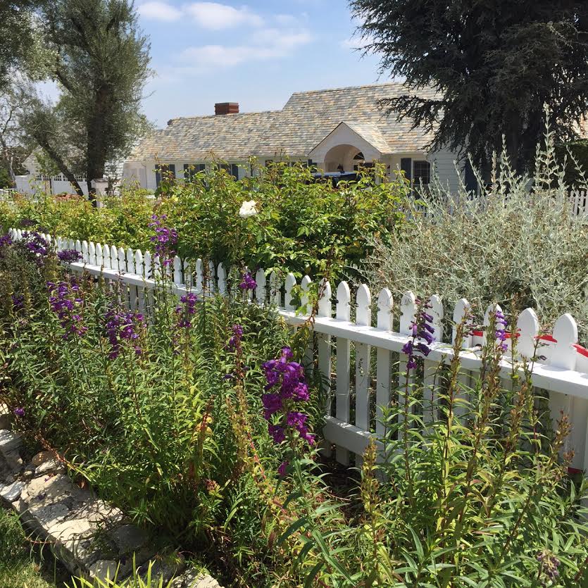 Williamsburg Lane