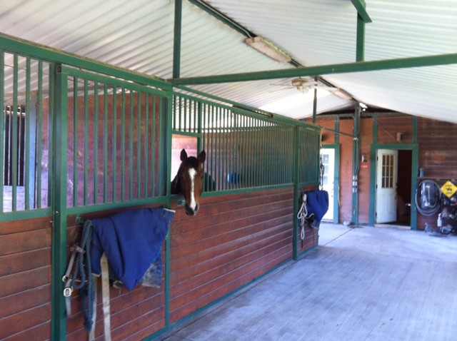 Private Stables in Palos Verdes