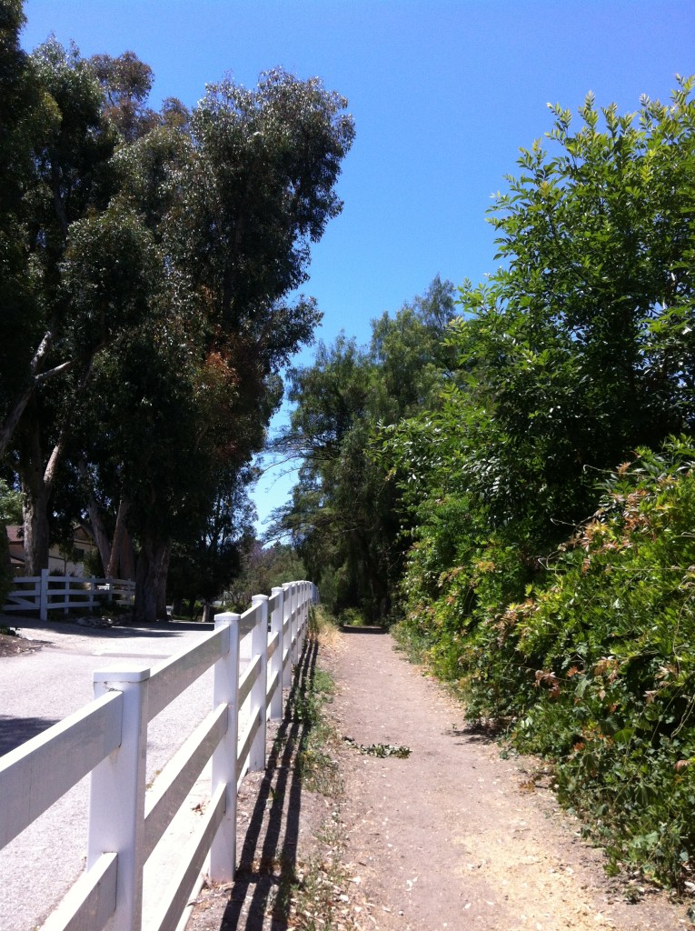 Palos Verdes has miles and miles of riding trails.